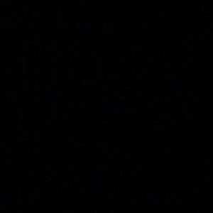 Meet your Posher, Zoey